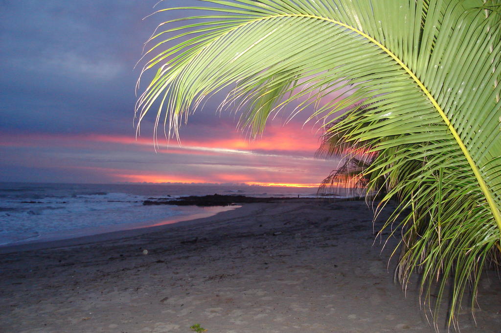 Casa Zen Guesthouse & Yoga Center Playa Santa Teresa  Zewnętrze zdjęcie