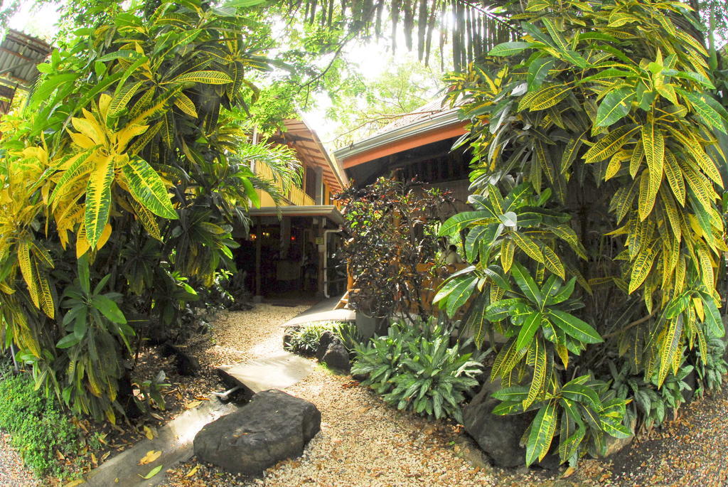 Casa Zen Guesthouse & Yoga Center Playa Santa Teresa  Pokój zdjęcie
