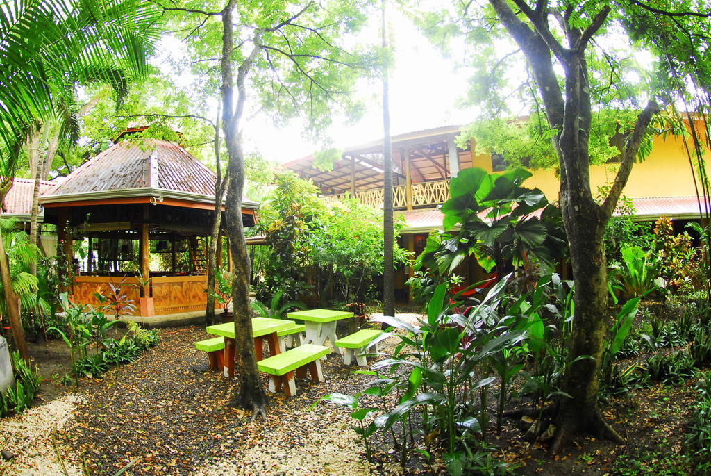 Casa Zen Guesthouse & Yoga Center Playa Santa Teresa  Zewnętrze zdjęcie