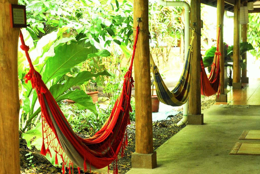 Casa Zen Guesthouse & Yoga Center Playa Santa Teresa  Zewnętrze zdjęcie