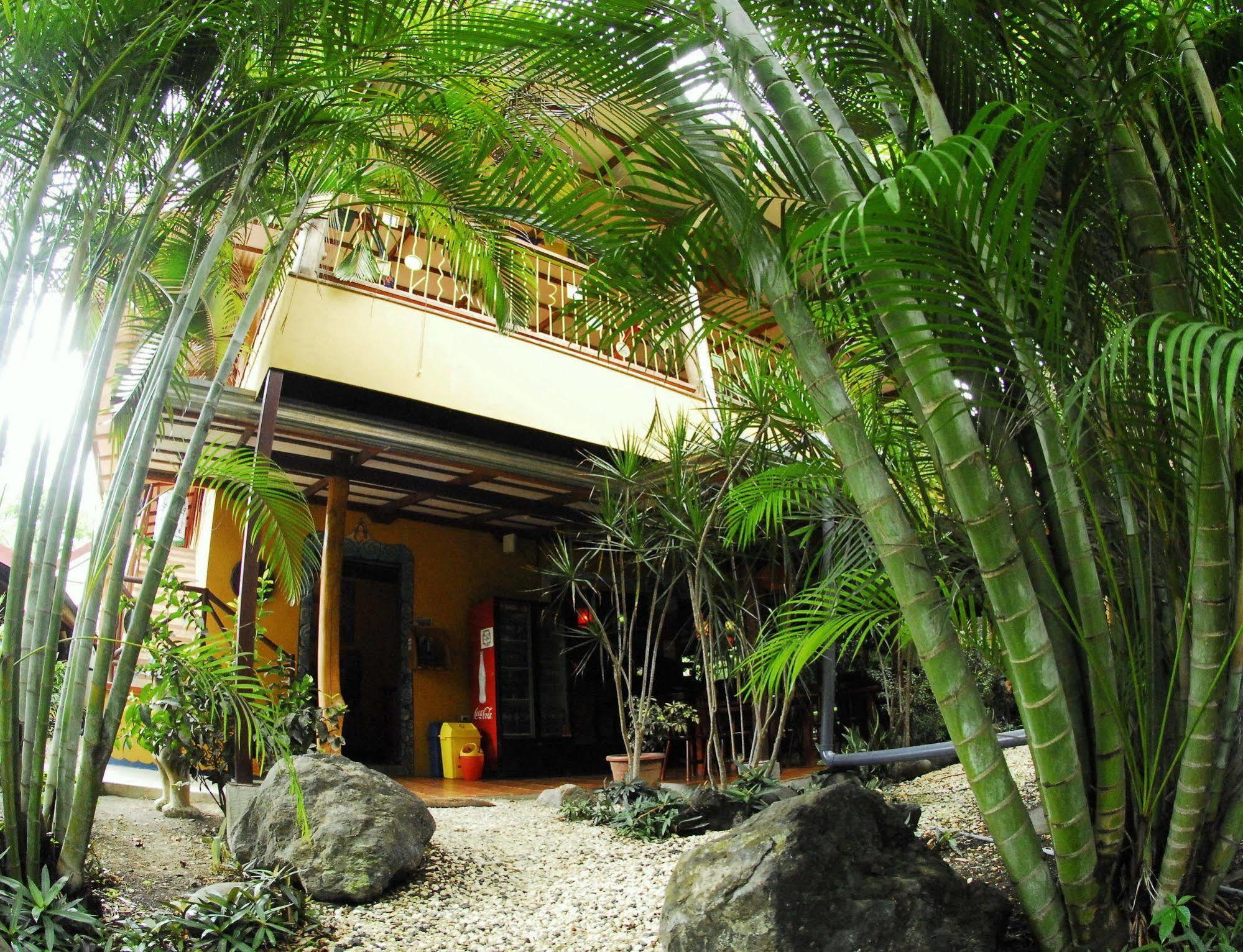 Casa Zen Guesthouse & Yoga Center Playa Santa Teresa  Zewnętrze zdjęcie
