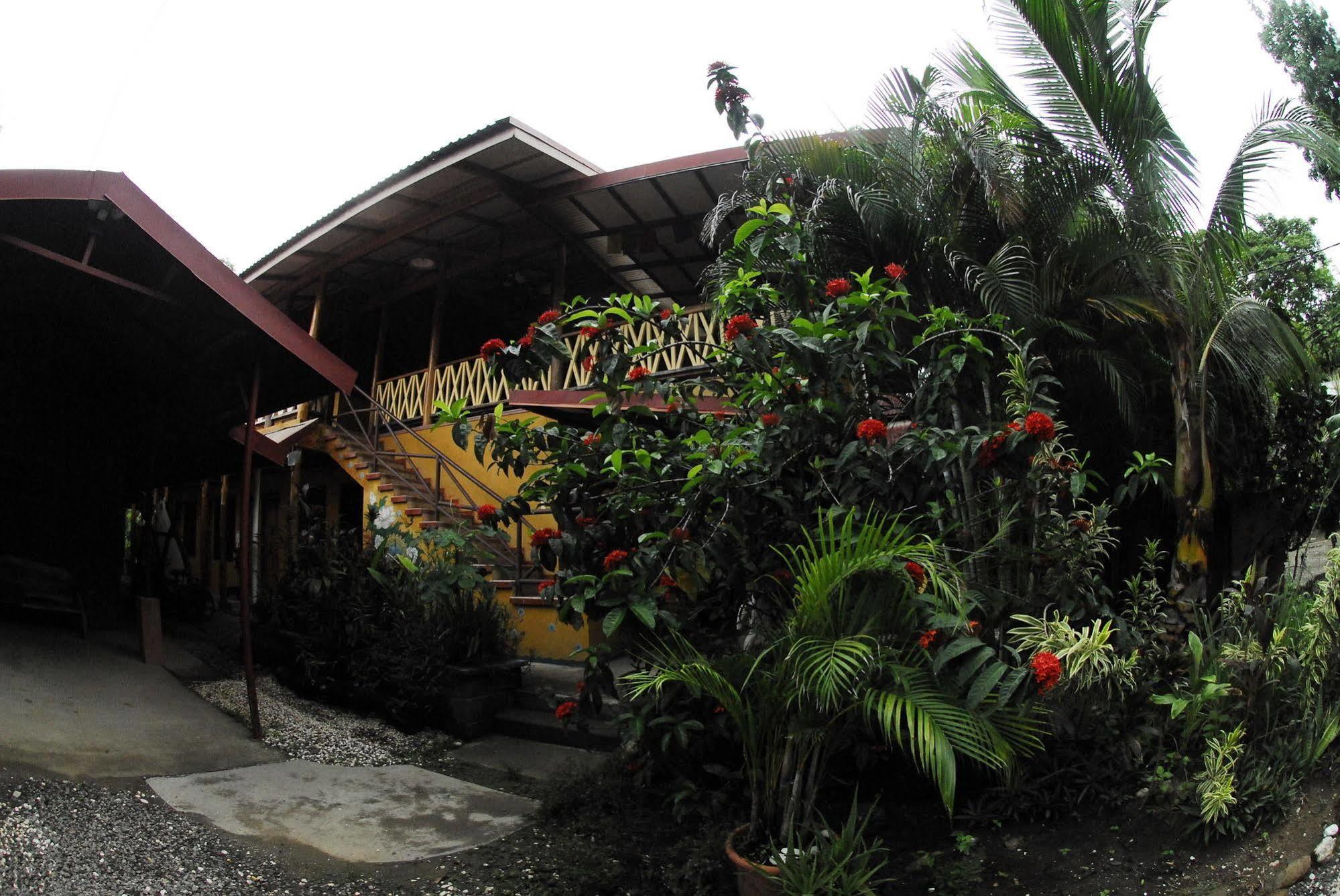 Casa Zen Guesthouse & Yoga Center Playa Santa Teresa  Zewnętrze zdjęcie