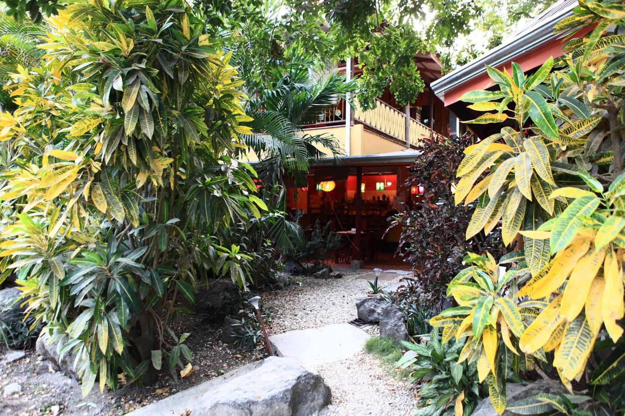 Casa Zen Guesthouse & Yoga Center Playa Santa Teresa  Zewnętrze zdjęcie